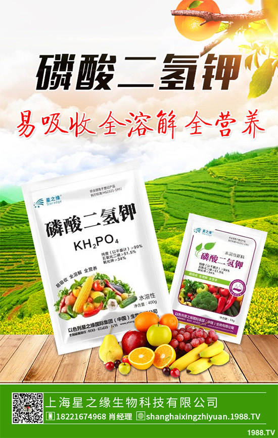 花椰菜花球出現(xiàn)異常是什么原因？該如何解決？快來(lái)看看吧！