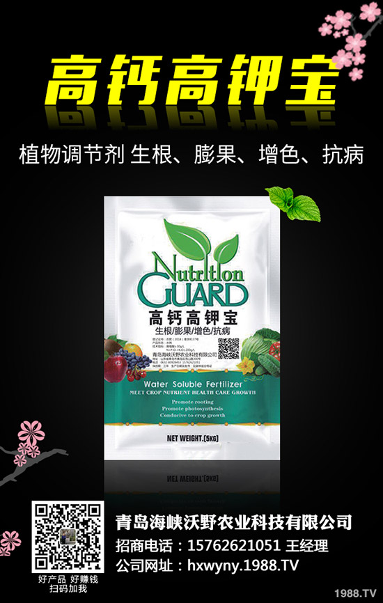 小麥田雜草什么時(shí)候防治更佳？小麥雜草解決方案！