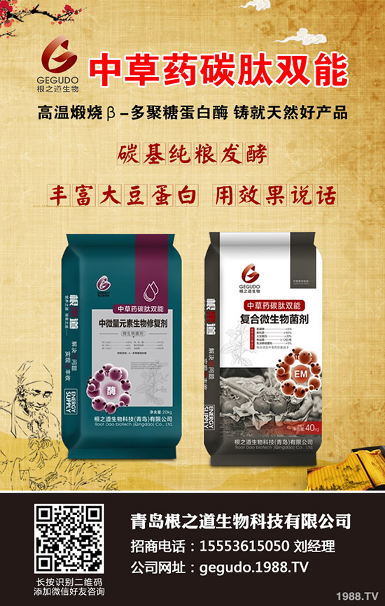 小麥土傳病害有哪些危害？小麥土傳病害發(fā)病規(guī)律及防治！