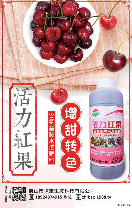 豆角歇伏什么原因？如何應(yīng)對豆角歇伏？