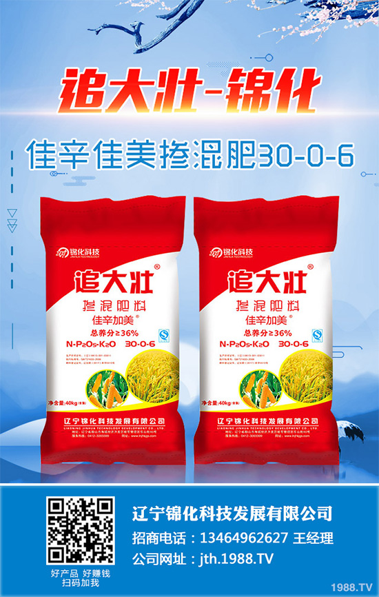 蔓荊子該如何種植?中藥材蔓荊子高種植管理方案