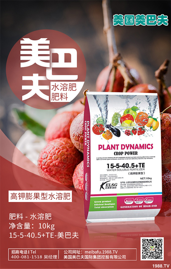 芽苗菜種植前景如何？芽苗菜的種植方法！