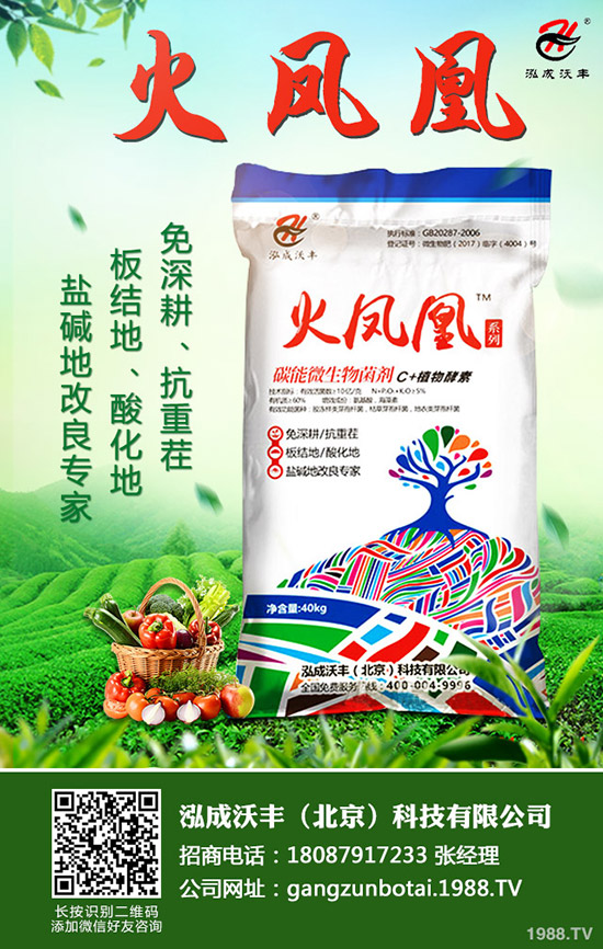     2020年種植生姜賺錢么？前景怎樣？一畝生姜投資及效益分析！