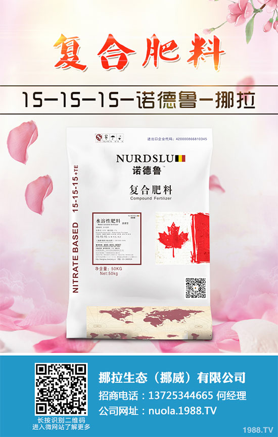 蔓荊子該怎么用?中藥材蔓荊子的用法大全