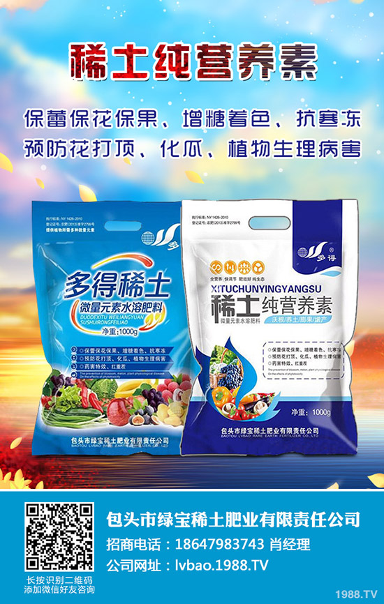 白蠟樹的種植技術(shù)有哪些？白蠟的日常養(yǎng)護管理！