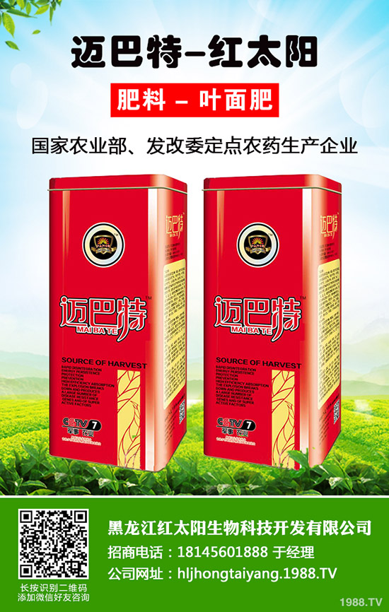 韭菜為什么不分蘗？什么因素影響了韭菜分蘗？