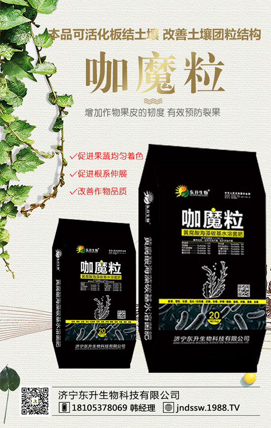 黑玉米價格多少錢一斤？2020年種植前景及效益分析！