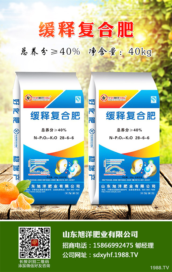 貢菊、杭白菊和胎菊有哪些不同之處？產(chǎn)地在哪？快來看看吧！
