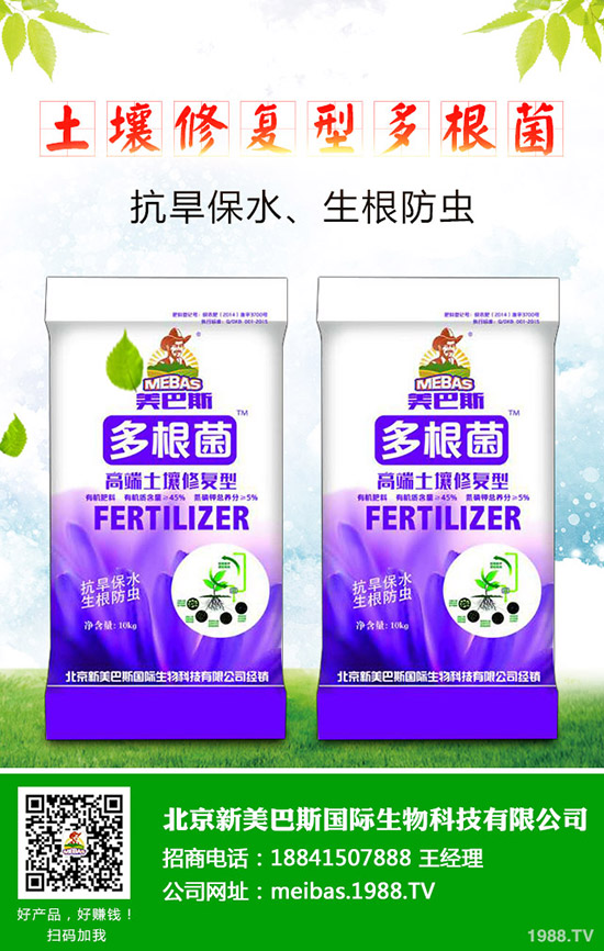 洋蔥的需肥特點(diǎn)有哪些？洋蔥的施肥技術(shù)是什么！