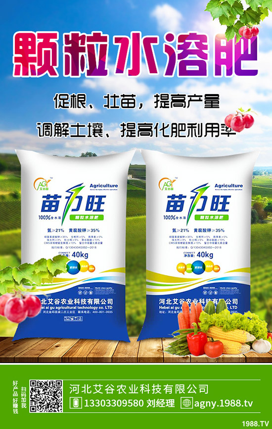 生姜什么時候種，生姜的種植條件有哪些？