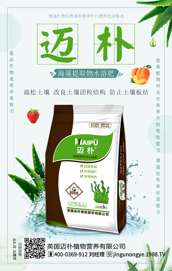 吃柑橘有什么好處？柑橘的營養(yǎng)價值！