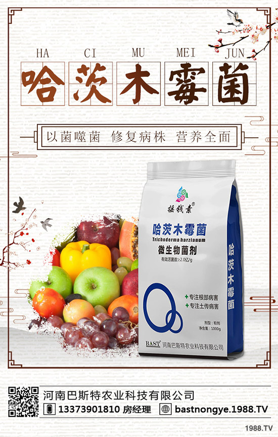 冬儲行情即將啟動！最新鉀肥價格行情預(yù)測2019-12-20