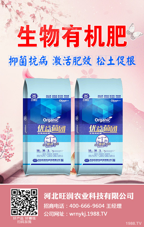 復(fù)合肥多地價格調(diào)漲！2019-12-20各地區(qū)復(fù)合肥出廠價格一覽