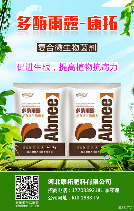 尿素每噸多少錢？2019-12-20今日各地尿素價(jià)格走勢(shì)分析