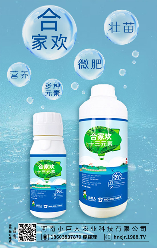 茶樹(shù)菇有哪些營(yíng)養(yǎng)價(jià)值？茶樹(shù)菇的功效與作用！