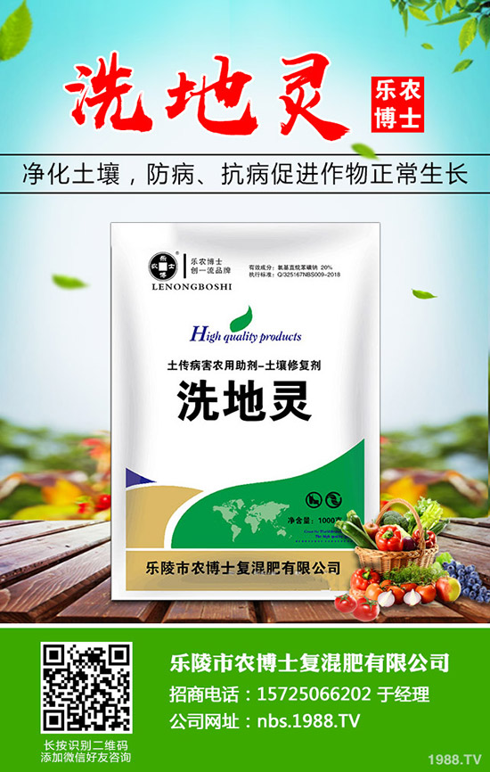 莧菜什么時候種植，莧菜的種植時間和方法！