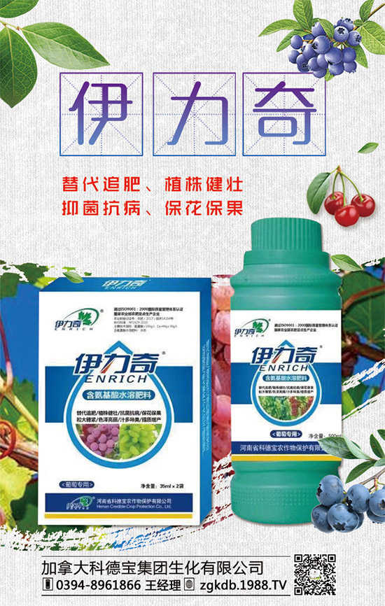     �R�����P(gu��n)�����@�����Ƿ��ϸ���2020����@�r�������߄��A(y��)�y��