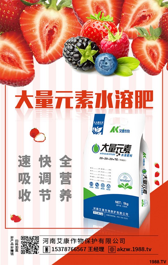 老虎姜該怎么種植?老虎姜高產(chǎn)種植技術(shù)管理