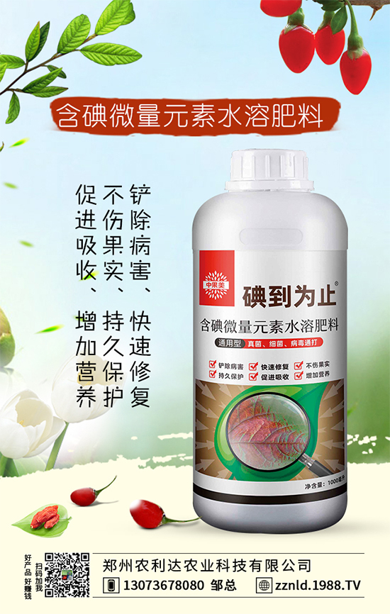 紅蘿卜如何管理才能豐收？六大科學管理我們知道嗎？