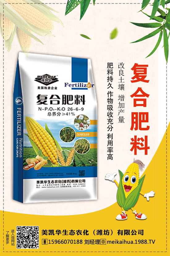     2019�������һ�@��������r(ji��)��C�Ϸ�����(b��o)����