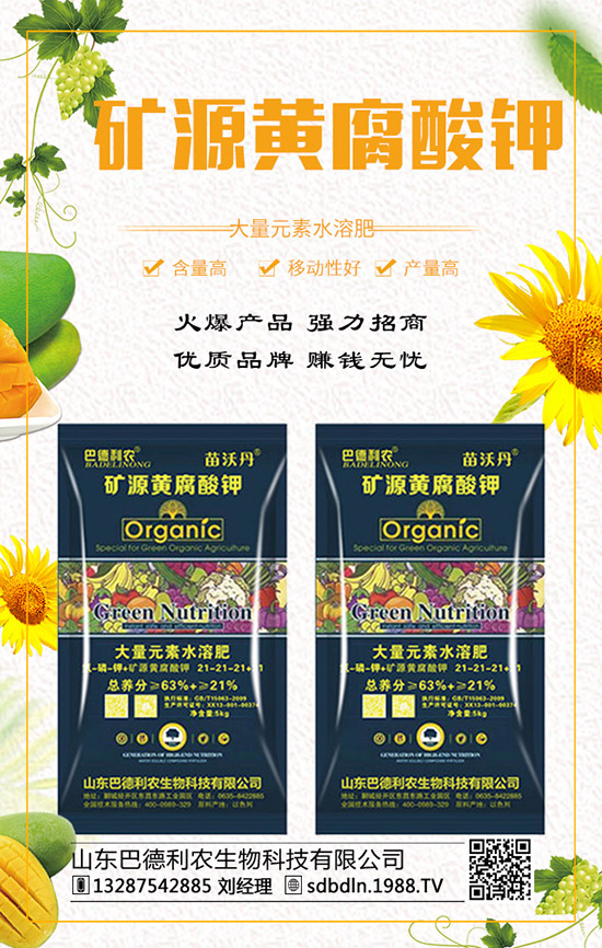     �ͺϷ�����q�����F��2019��12��ĩ���r���߄��A�y��