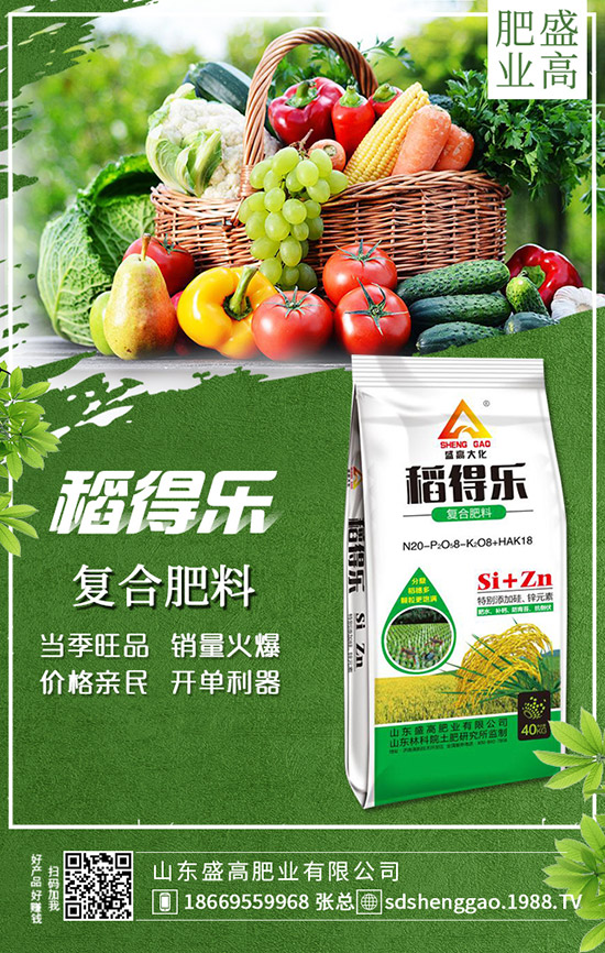     �ֲ��؅^(q��)���������»���12��25�Շ���(n��i)���؃r(ji��)���߄ݼ��������u(p��ng)��