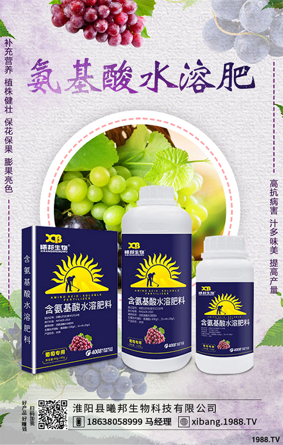 ����Nֲʲô��ٍ�X(qi��n)��2020���ߴ�ٍ�X(qi��n)�Nֲ�(xi��ng)Ŀ�����(l��i)��������