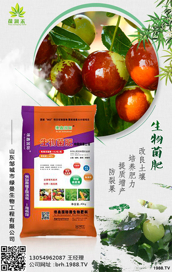 冬季蔬菜種植需要注意什么?大棚蔬菜施肥注意要點!