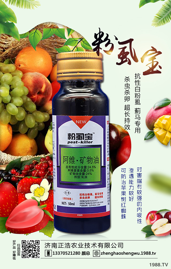 ���Ѱ�ѩ����l(f��)�����c(di��n) ���Ѱ�ѩ������η���