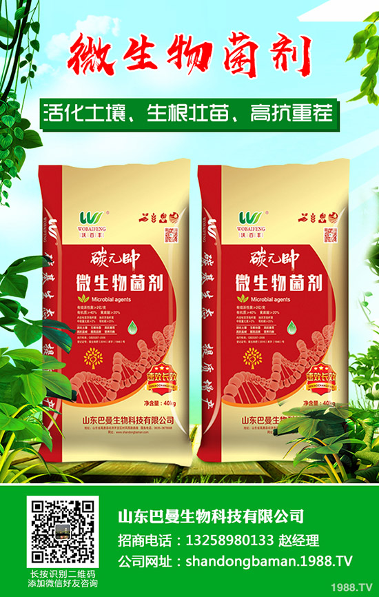    臨近年關！春節(jié)期間部分企業(yè)尿素停產(chǎn)！2019年12月末最新尿素行情走勢！
