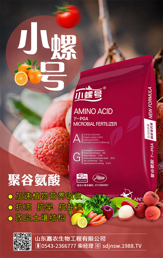 金針菇什么時間栽培？金針菇生長條件！