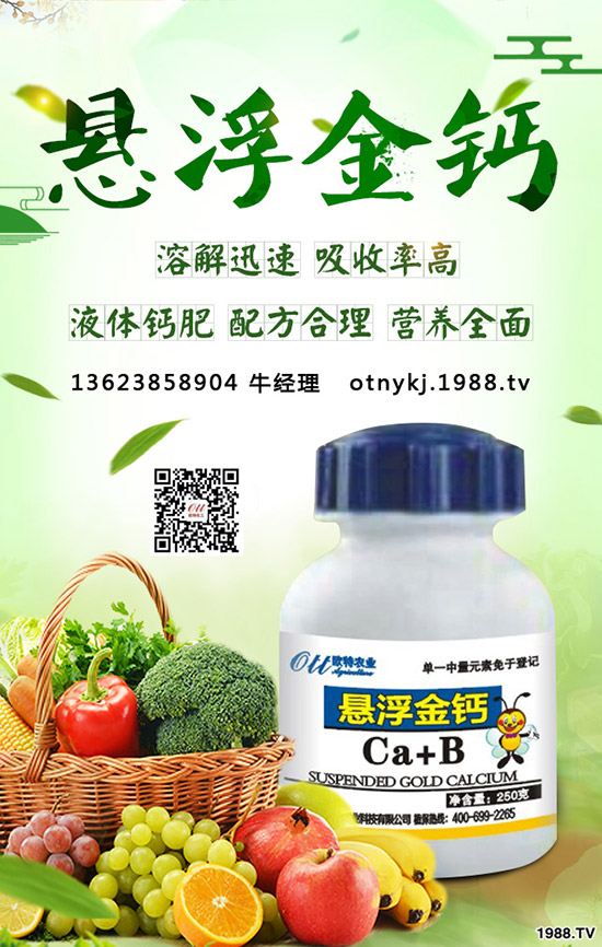 草莓得了葉枯病怎么辦，如何防治？草莓葉枯病防治方法！