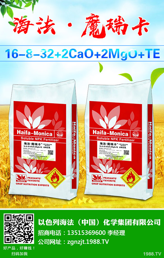 2020年磷銨價(jià)格行情如何?會(huì)漲價(jià)格么?最新行情走勢(shì)預(yù)測(cè)!