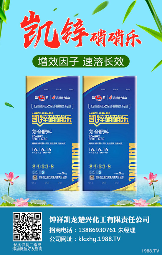 草莓肥害是什么原因，如何避免草莓肥害的發(fā)生？