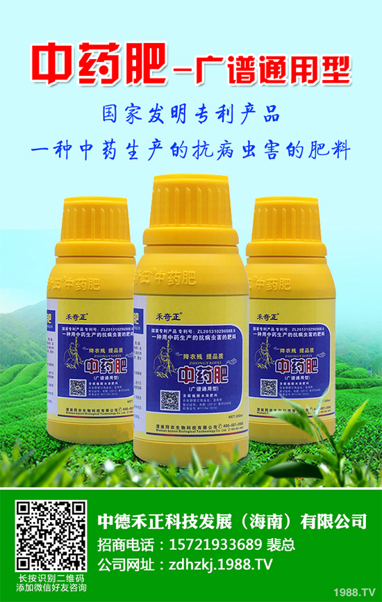 金線蓮有哪些營養(yǎng)價值？金線蓮的功效作用及食用方法