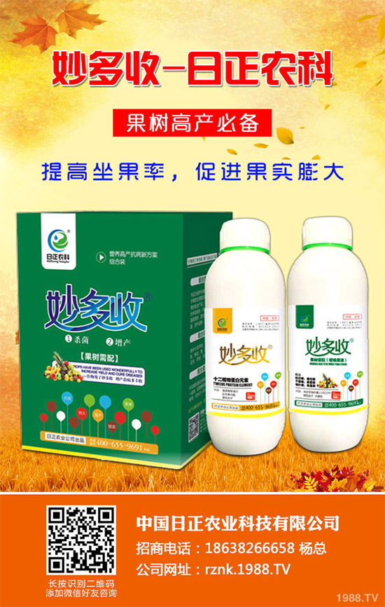 金線(xiàn)蓮該如何種植？金線(xiàn)蓮的種植及養(yǎng)管理