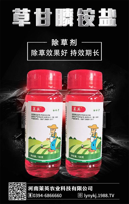     橙子價(jià)格如何？貴么？2020種植橙子賺錢么？種植前景怎么樣？