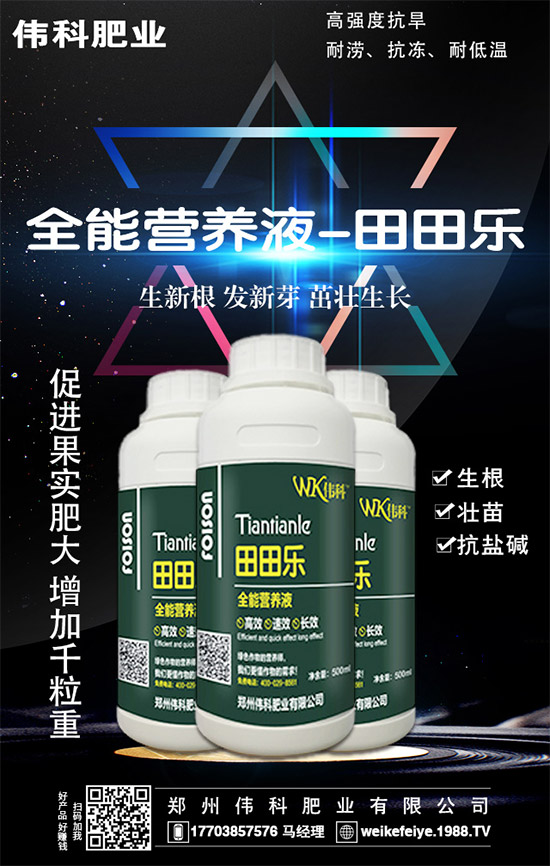     橙子的營養(yǎng)價(jià)值有哪些？功效與作用有哪些？不易哪些人群食用？