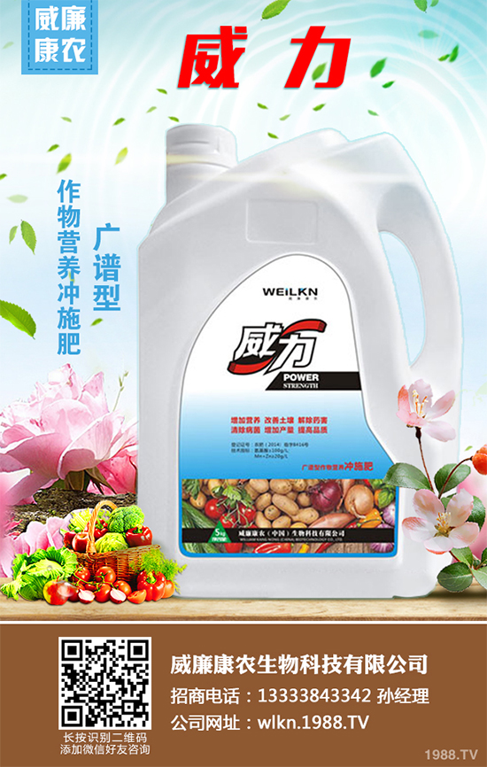     木耳菜不僅好吃而且營養(yǎng)豐富，它含有極其豐富的營養(yǎng)元素，特別是鈣、鐵等元素的含量非常的高，下面小編就為大家講述一下木耳菜的采收方法，一起來看看吧！