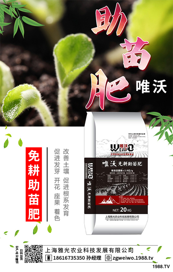     山藥什么時(shí)候采收？山藥的貯藏方法有哪些？