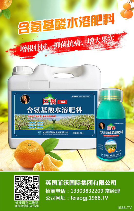 我國南方該怎樣種植藍莓？藍莓高產(chǎn)種植技術(shù)要點