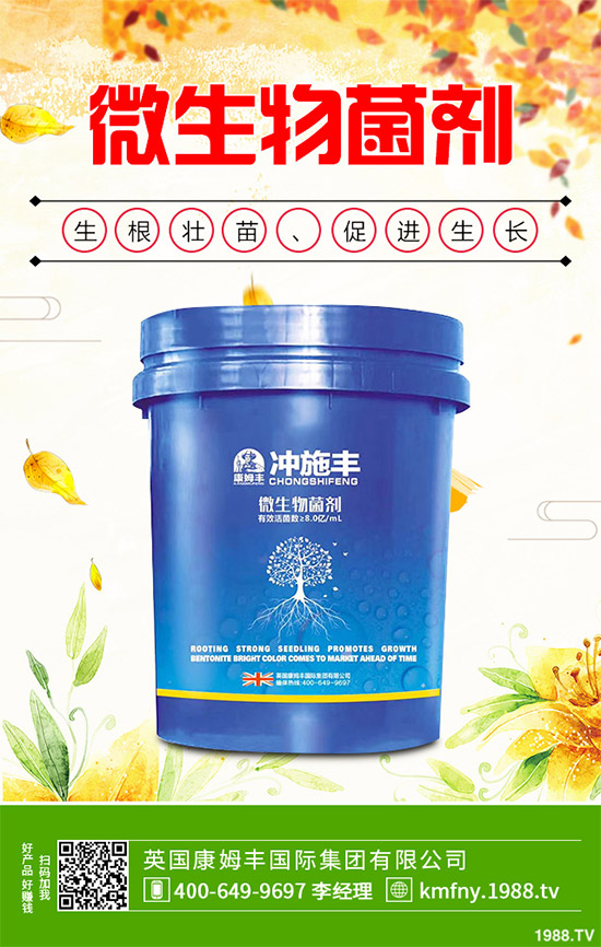 我國南方該怎樣種植藍莓？藍莓高產(chǎn)種植技術(shù)要點