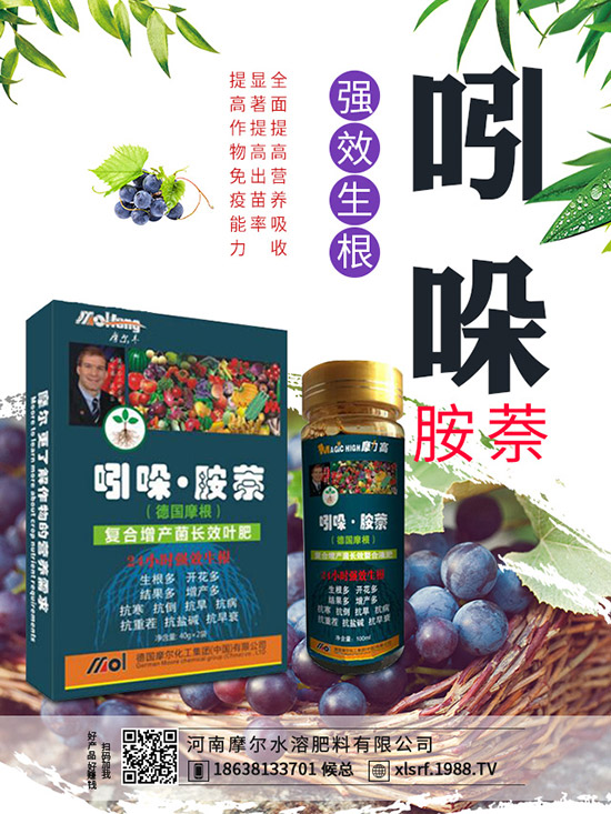 煙草主產(chǎn)地在哪里，煙草種植方法有哪些？