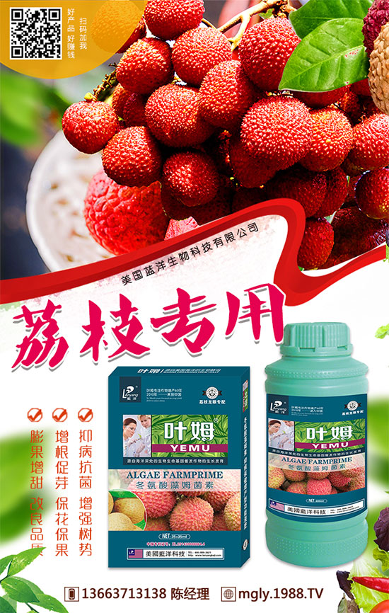 紅薯儲藏的因素，紅薯儲藏有哪些方法？