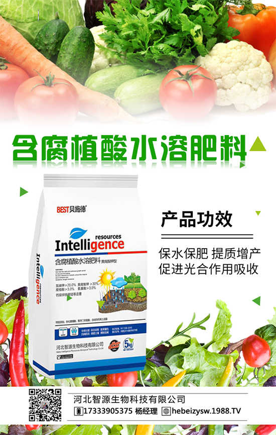 男女搭配干活不累，呢么“肥藥”搭配呢？