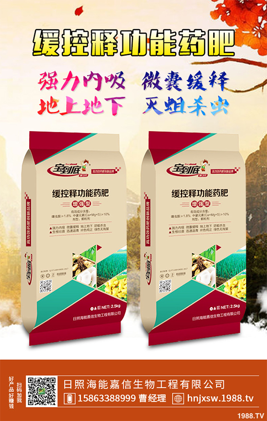 芹菜該如何種植？注意些什么？芹菜高產(chǎn)種植方案