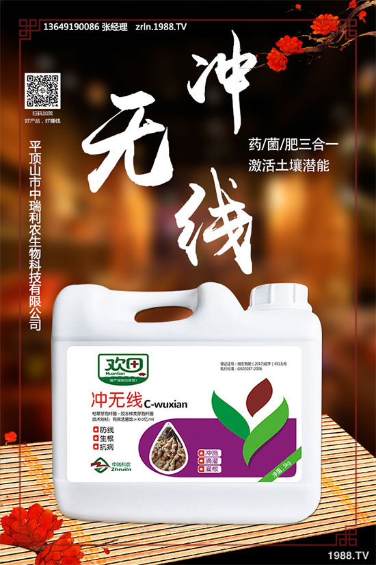 如何進(jìn)行黑木耳定植與發(fā)菌管理？黑木耳種植注意事項(xiàng)！