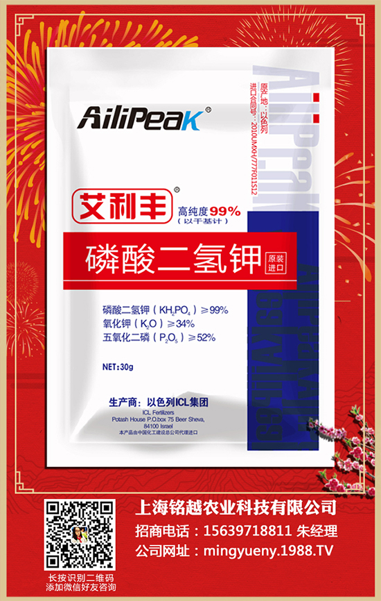 芹菜有哪些營養(yǎng)價值？吃芹菜的好處有哪些？快來看看吧！