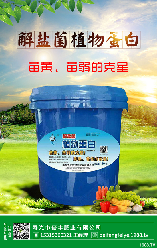 芹菜立枯病時如何引起的？該怎樣預(yù)防？芹菜立枯病大預(yù)防措施