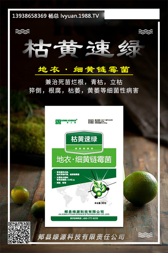 芹菜早疫病有哪些危害？是如何發(fā)生的？芹菜早疫病的發(fā)生與防治